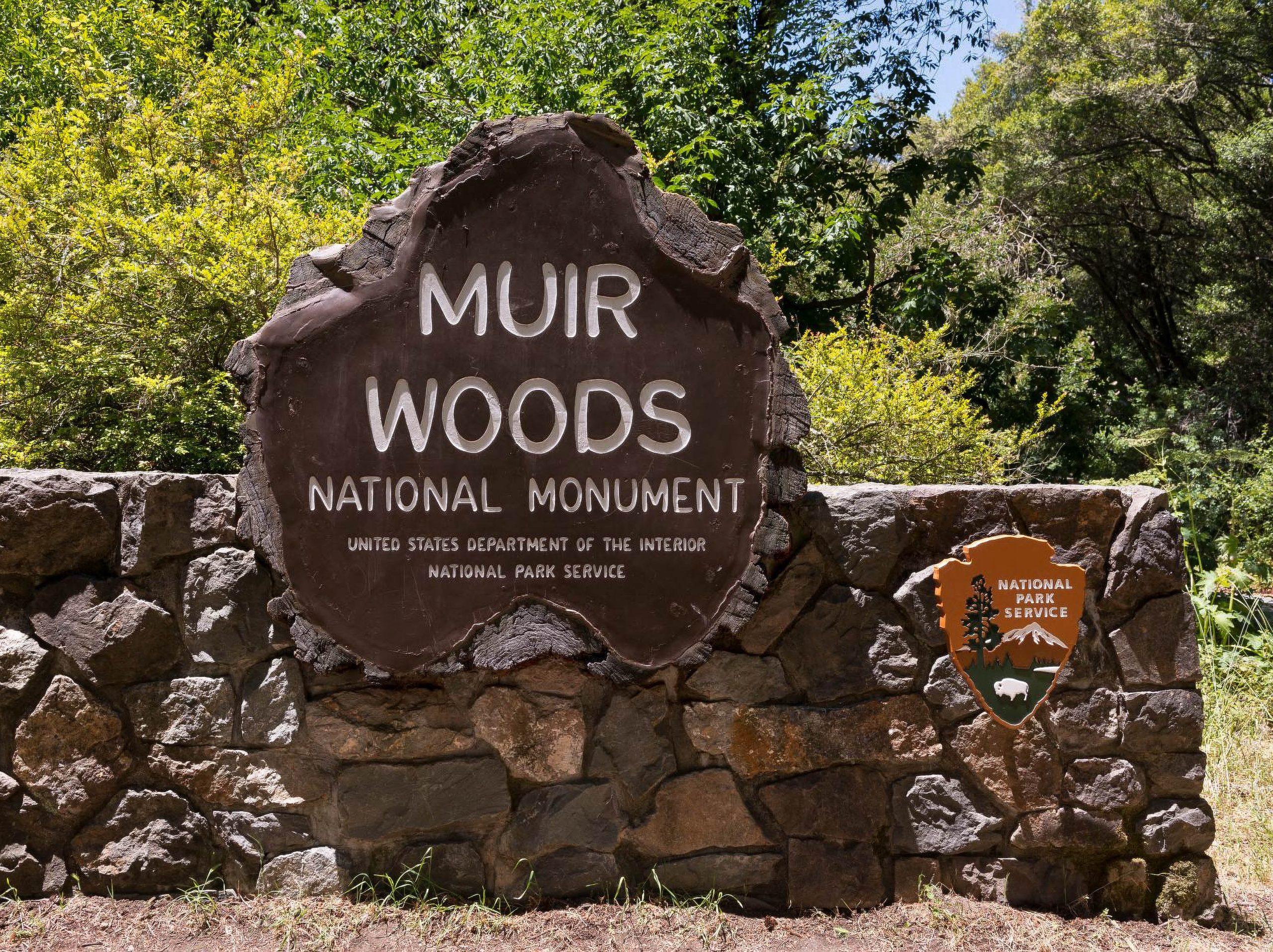 Marin County supervisors get update on Muir Woods parking