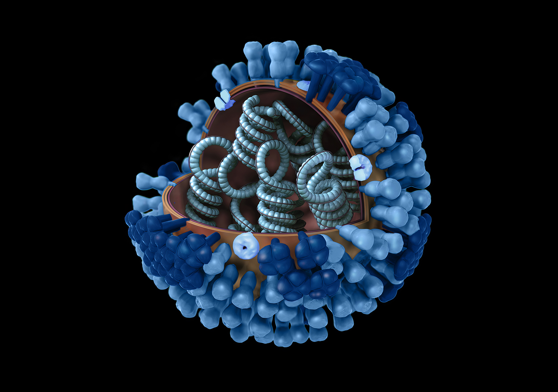 Photo: Local News Matters San Francisco Officials React to First Flu Death of the Season