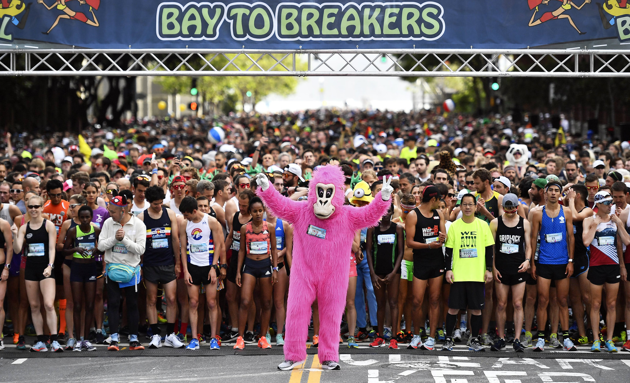 Bay to breakers 2023 pictures