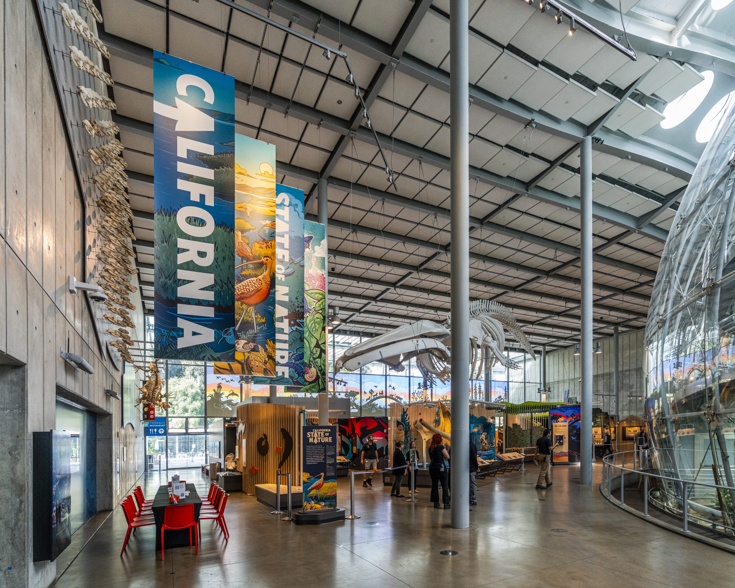 California biodiversity stars in Academy of Sciences' new