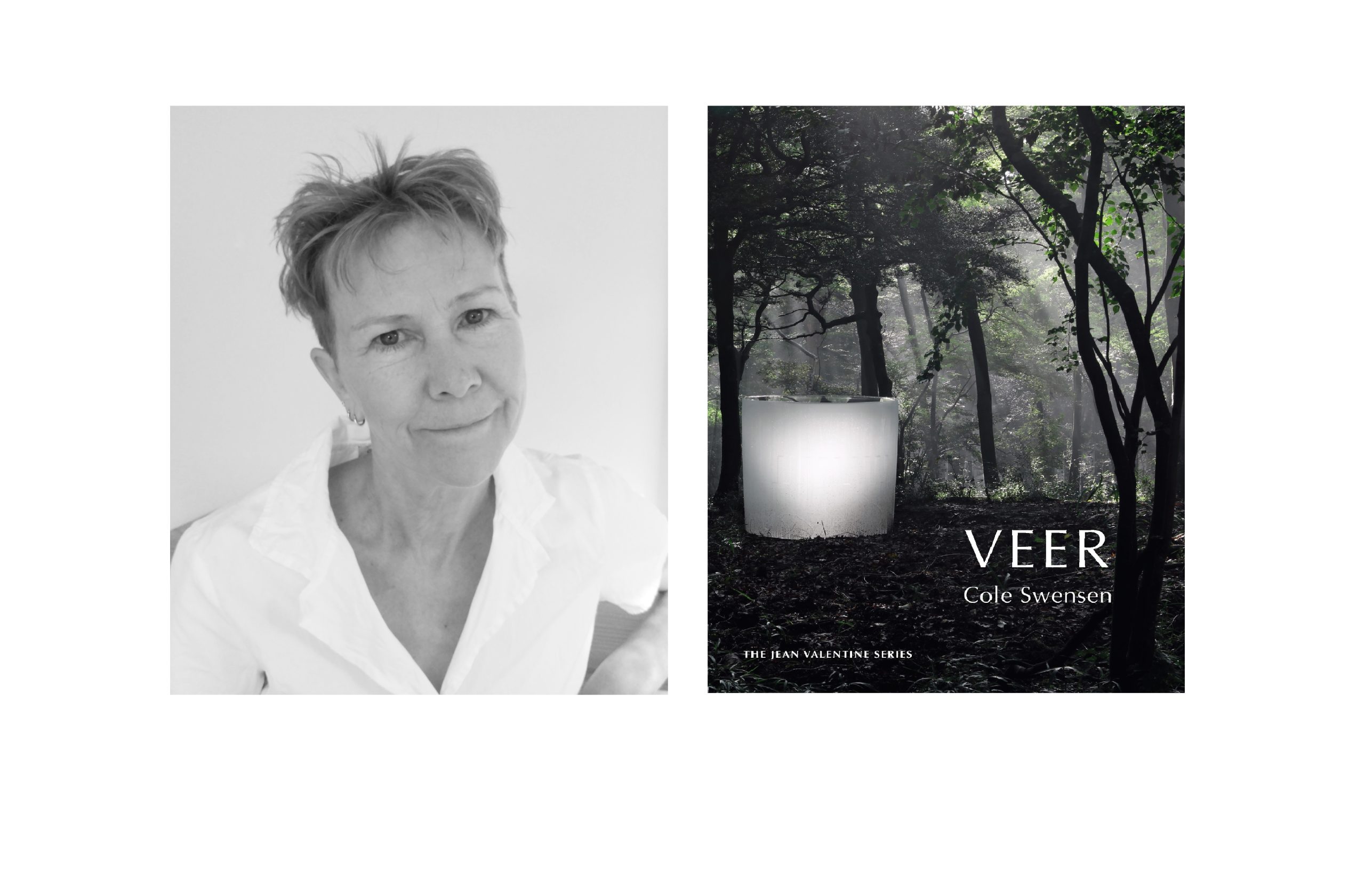 Image for Poet Cole Swensen launches ‘Veer’ at City Lights, Book Passage