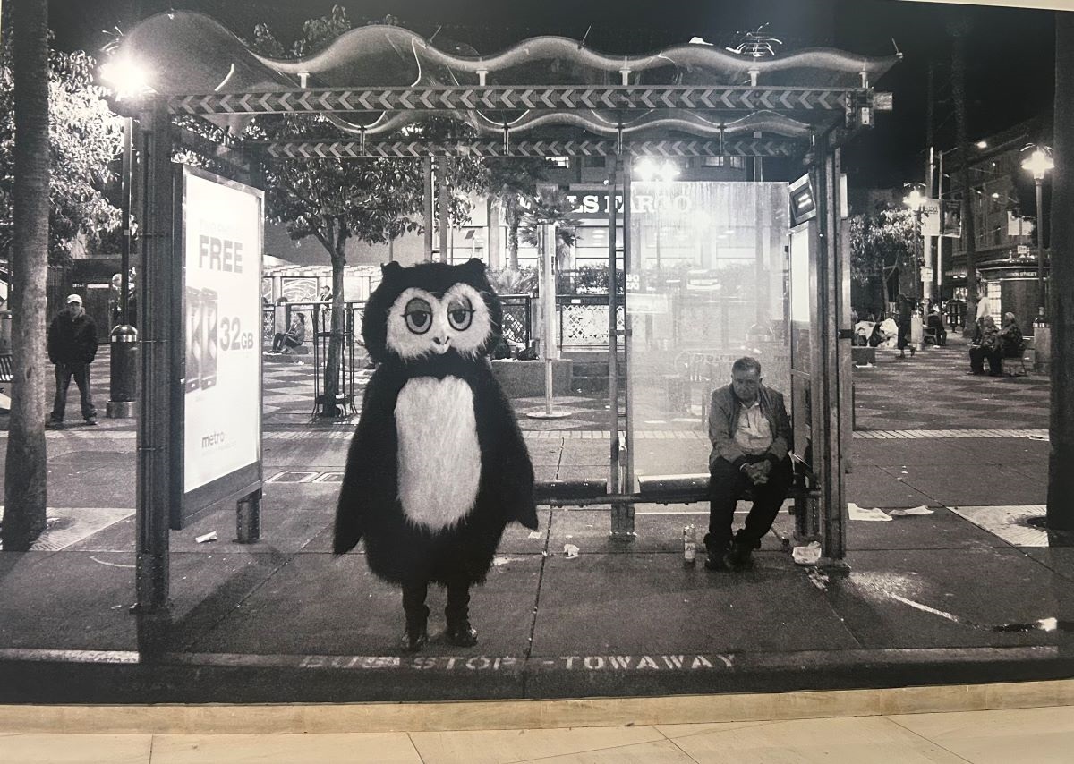 SF Public Library showcases 25 years of 'Hamburger Eyes' street