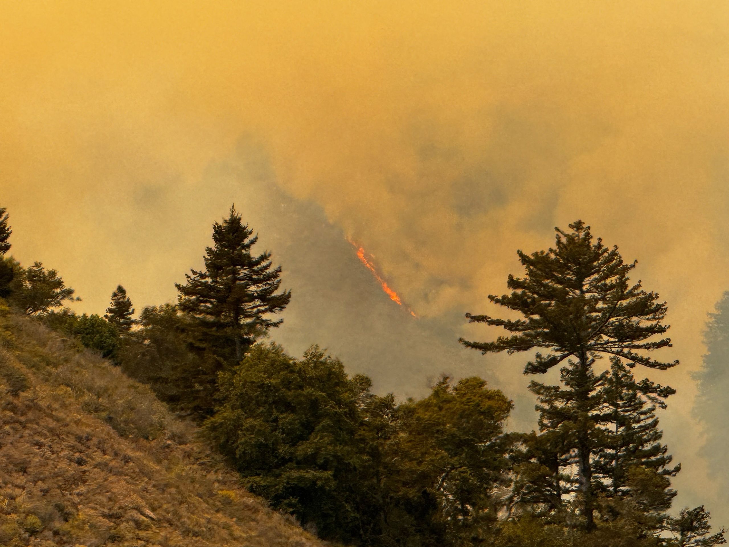 More firefighters added as Timber Fire containment grows in Monterey County